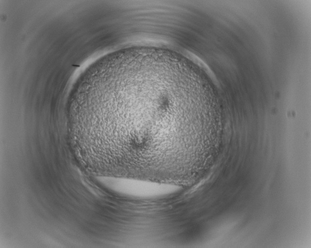 X0000083051027200702231950