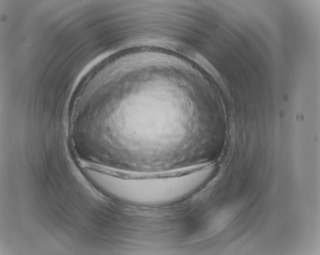 X0000083051028200702231950