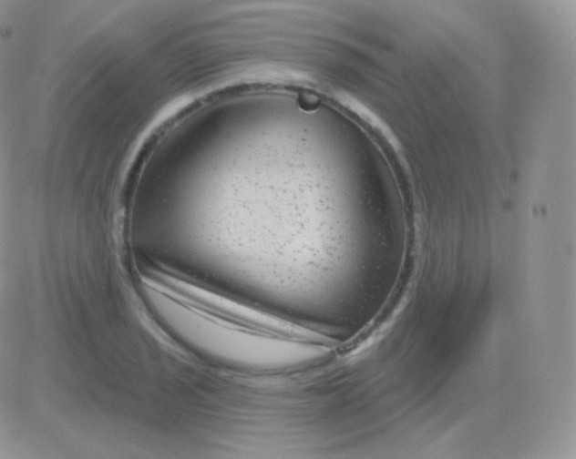 X0000083051029200702231950