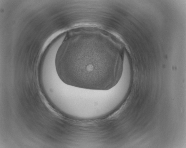 X0000083051030200702231950