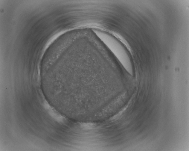 X0000083051031200702231950