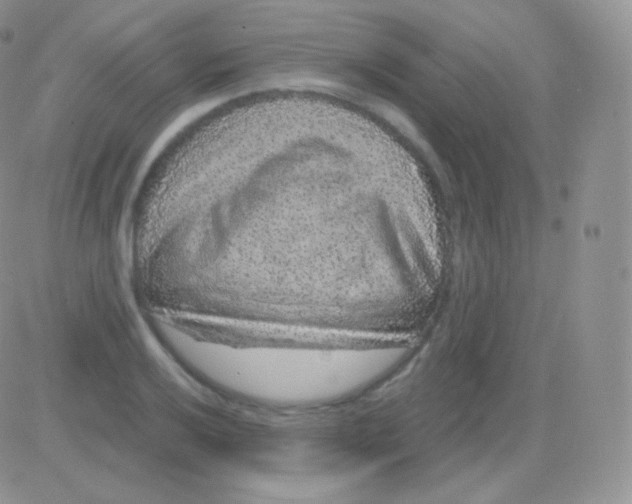 X0000083051032200702231950