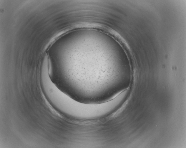 X0000083051033200702231950