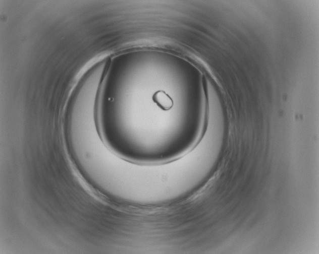 X0000083051034200702231950