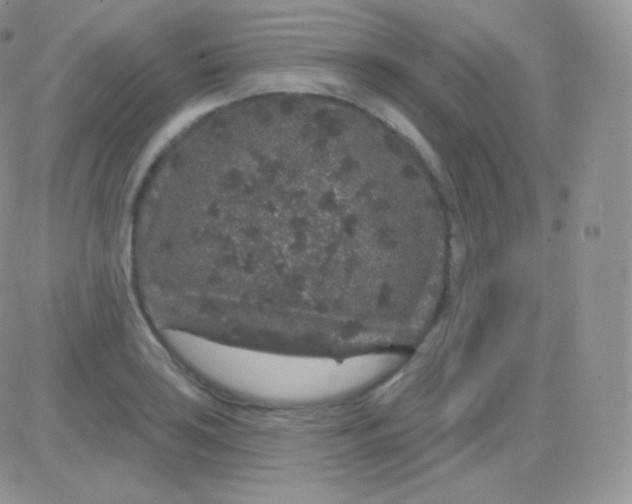 X0000083051035200702231950