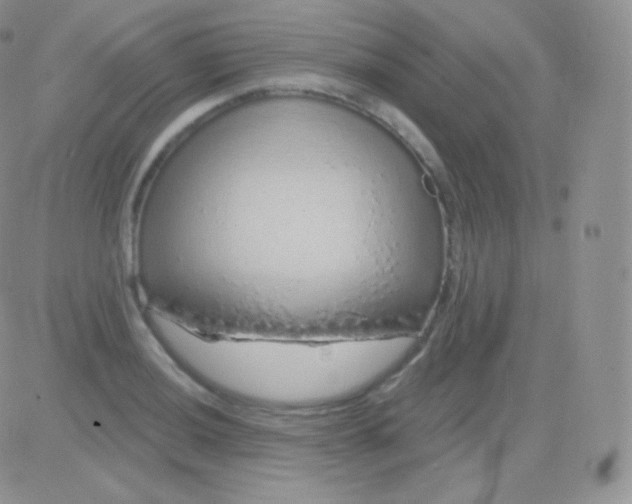 X0000083051036200702231950