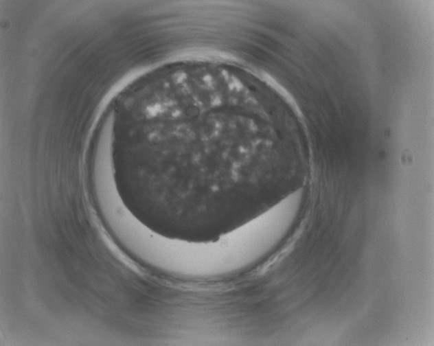 X0000083051037200702231950