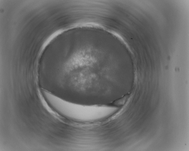 X0000083051038200702231950