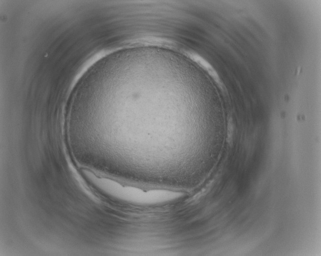 X0000083051039200702231950