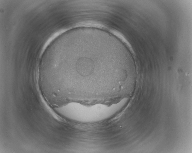 X0000083051040200702231950