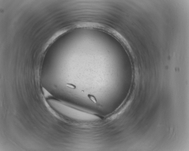 X0000083051041200702231950