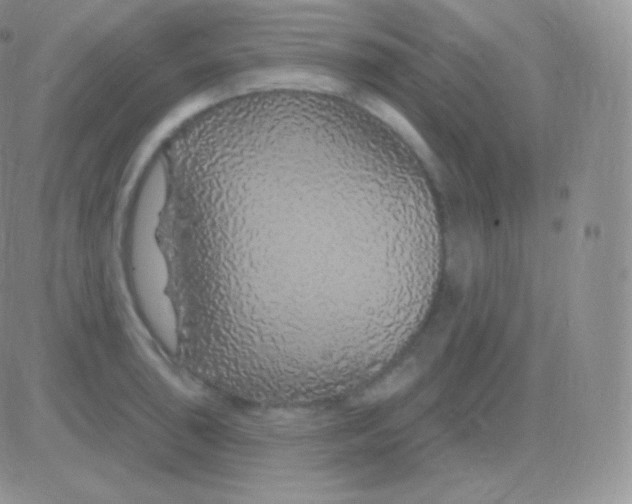 X0000083051043200702231950