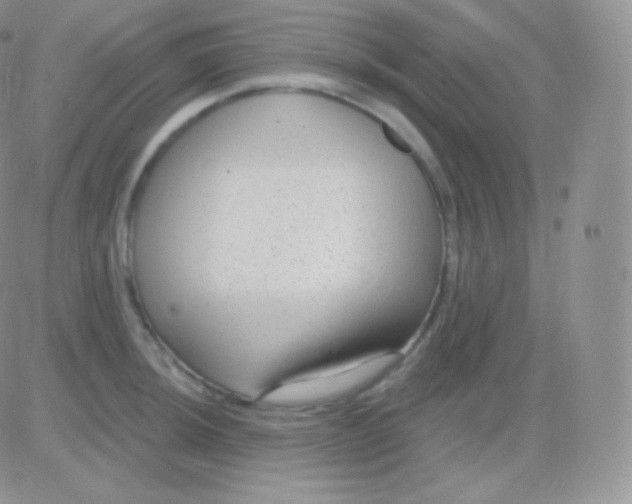 X0000083051044200702231950