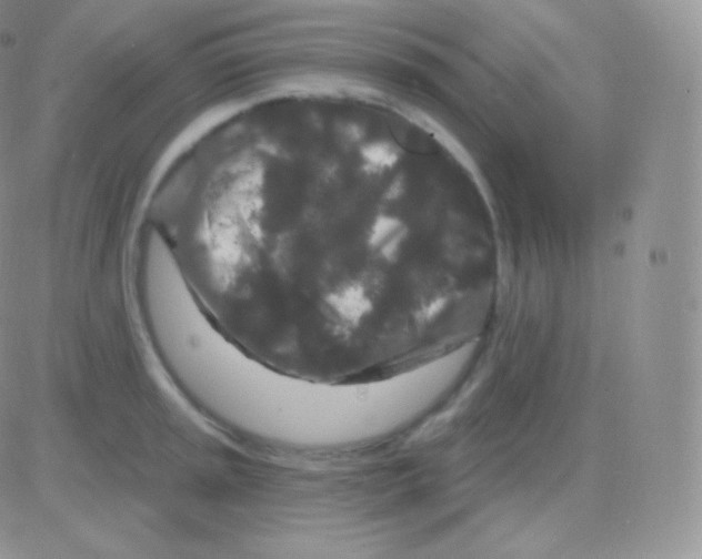 X0000083051045200702231950