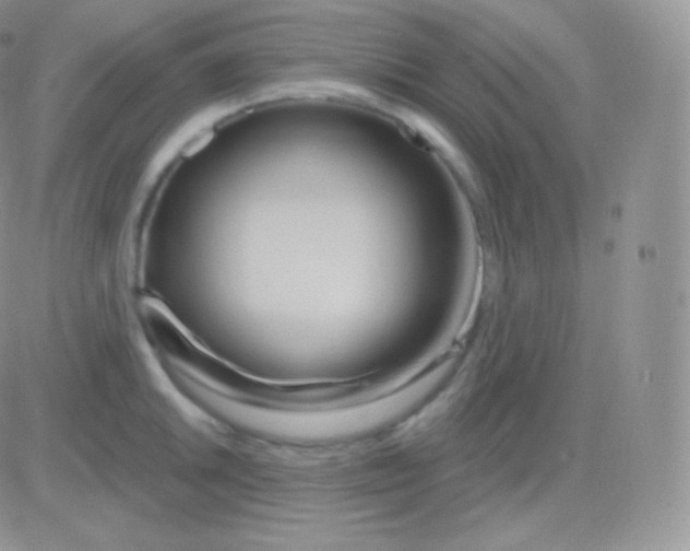 X0000083051046200702231950