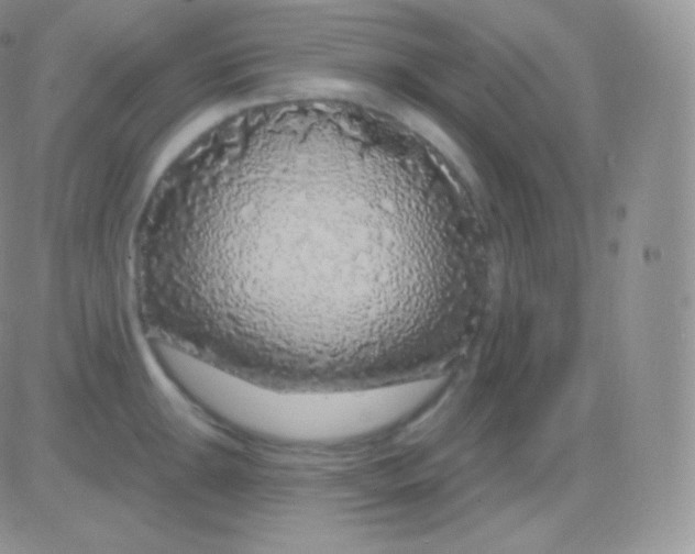 X0000083051047200702231950