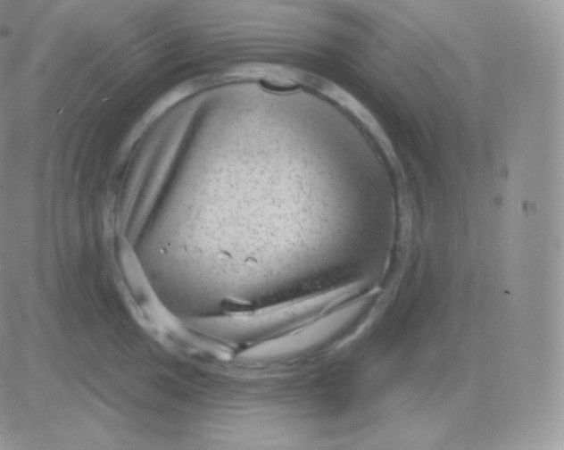 X0000083051049200702231950