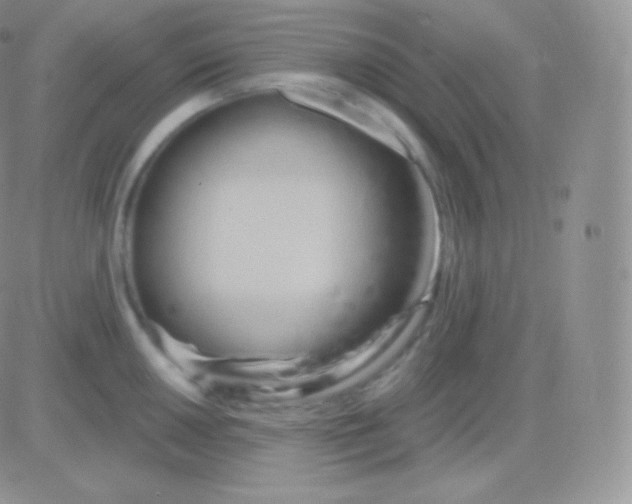 X0000083051050200702231950