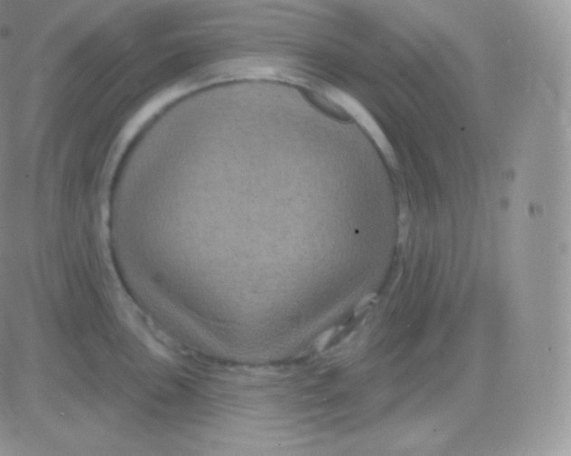 X0000083051051200702231950