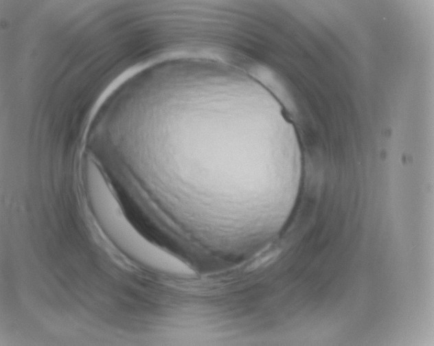 X0000083051052200702231950