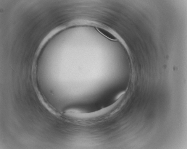 X0000083051053200702231950