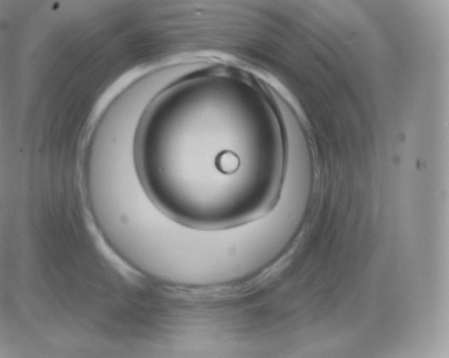 X0000083051054200702231950