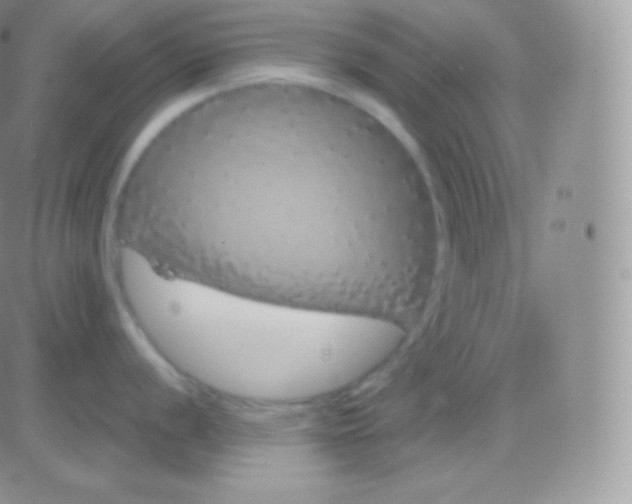 X0000083051056200702231950