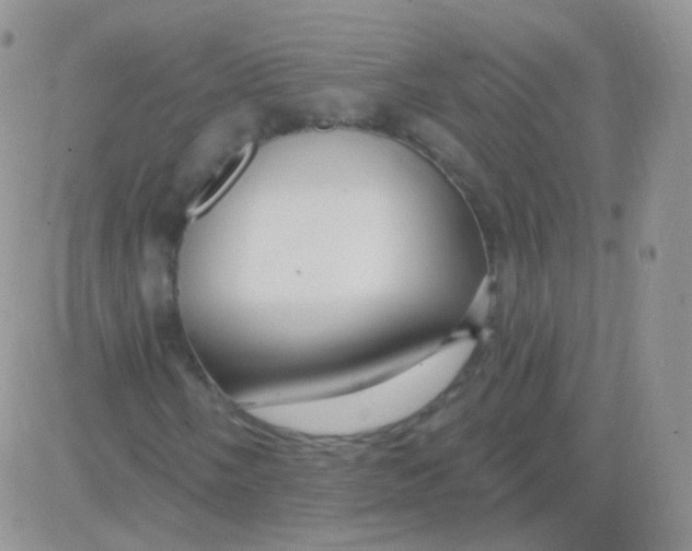 X0000083051058200702231949