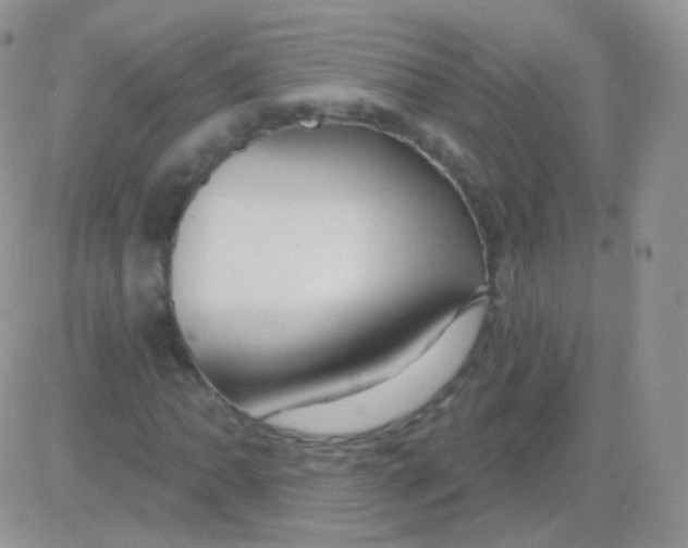 X0000083051062200702231949