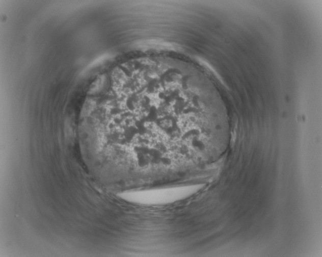 X0000083051063200702231949