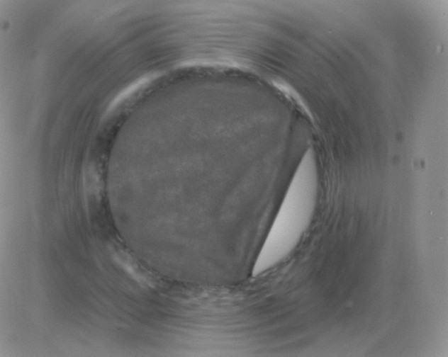 X0000083051064200702231949