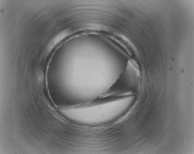 X0000083051065200702231949