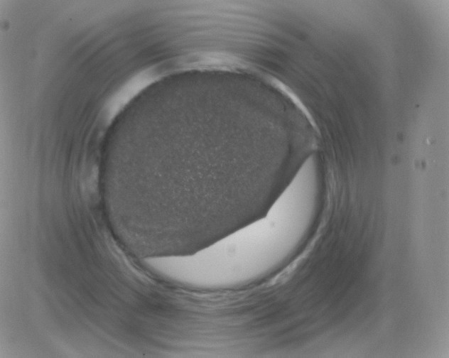 X0000083051066200702231949