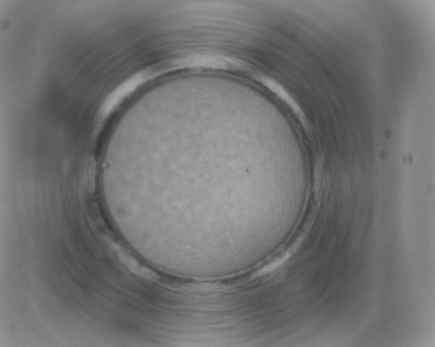 X0000083051067200702231949