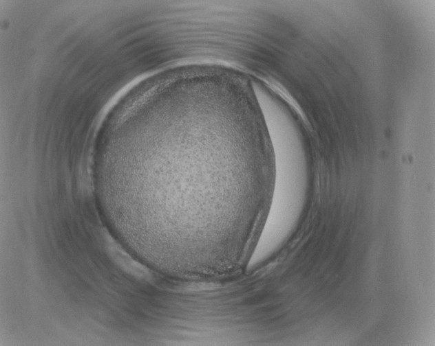 X0000083051068200702231949