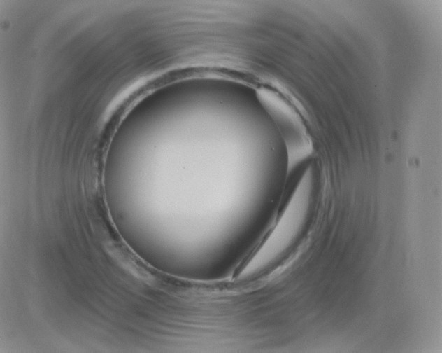 X0000083051069200702231949