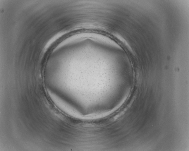 X0000083051070200702231949