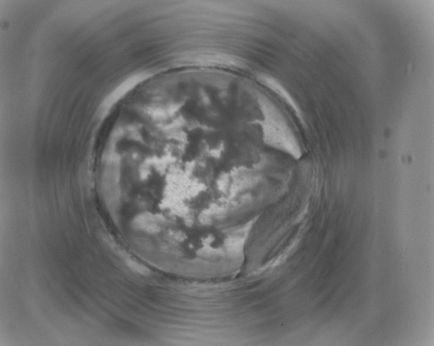 X0000083051071200702231949