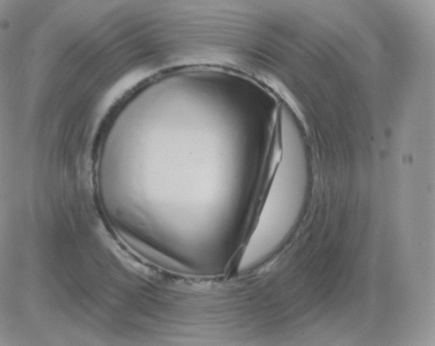 X0000083051072200702231949