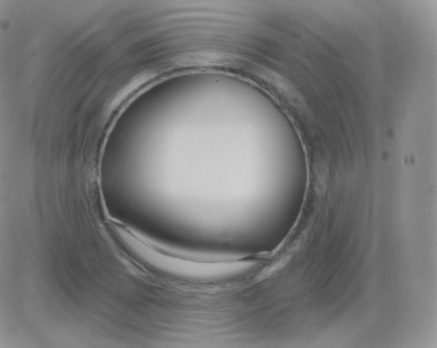 X0000083051073200702231949