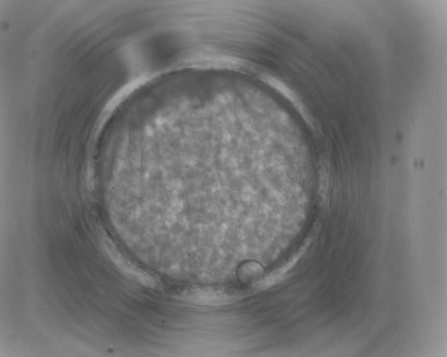 X0000083051074200702231949