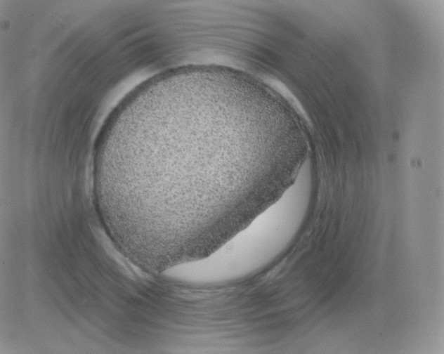 X0000083051076200702231949