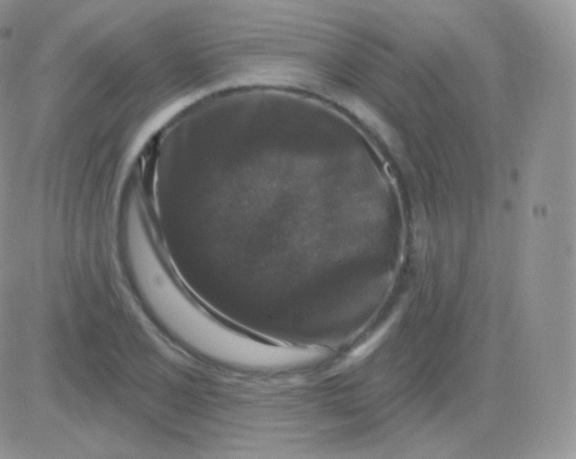 X0000083051077200702231949