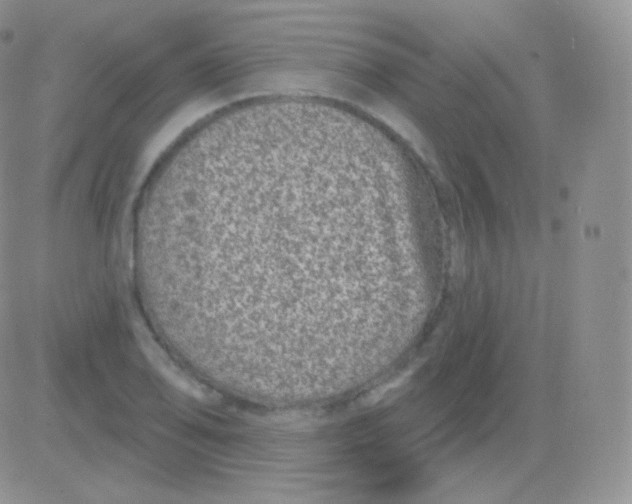 X0000083051078200702231949