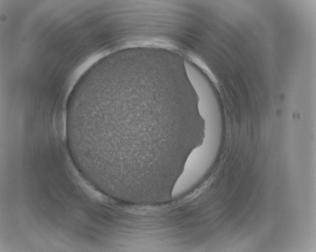 X0000083051079200702231949