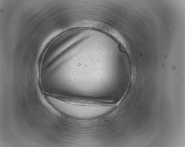 X0000083051080200702231949