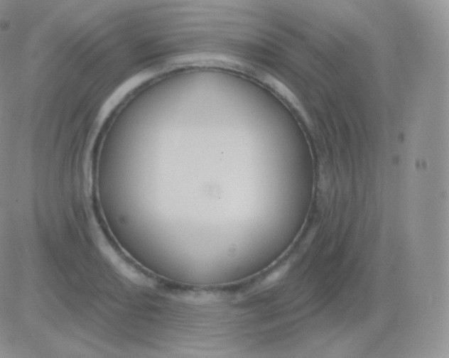 X0000083051082200702231949