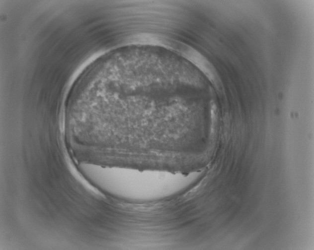 X0000083051084200702231949