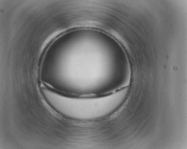 X0000083051085200702231949