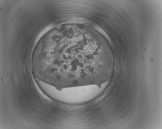 X0000083051087200702231949